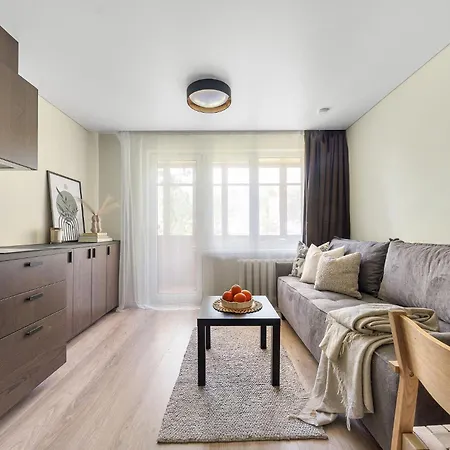 Good Location Near The Old Town - Station - Airport - Self Check In Βίλνιους