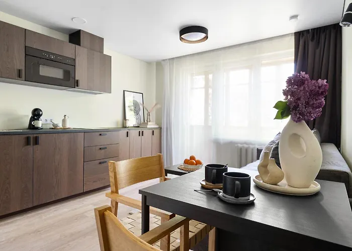 Good Location Near The Old Town - Station - Airport - Self Check In Apartman Vilnius