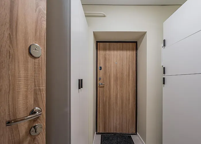 Good Location Near The Old Town - Station - Airport - Self Check In * Vilnius