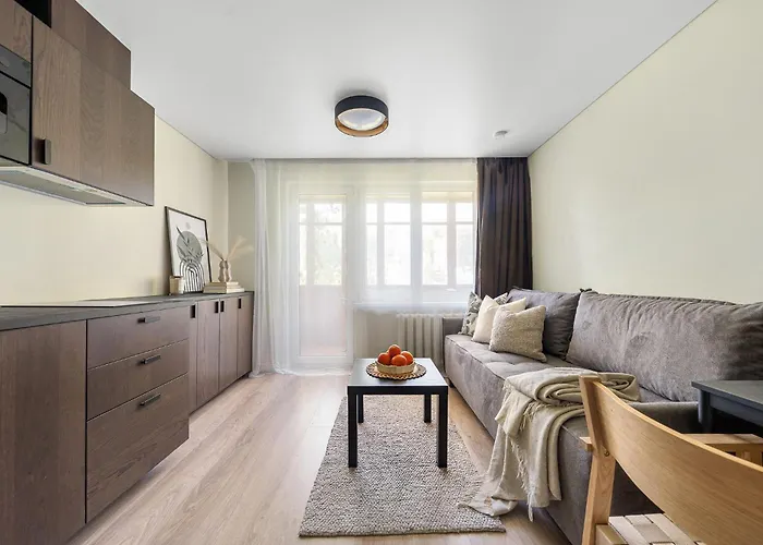 Good Location Near The Old Town - Station - Airport - Self Check In Vilna