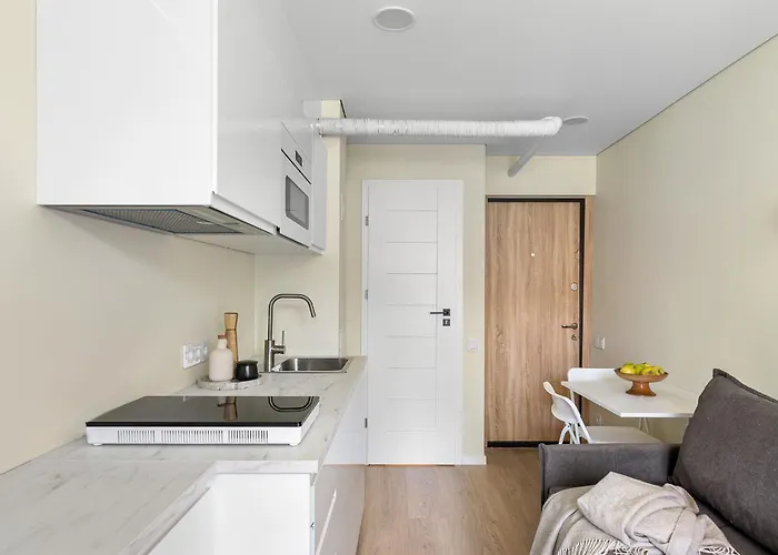 Good Location Near The Old Town - Station - Airport - Self Check In * Vilna